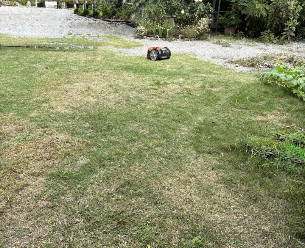 刈り終わった裏庭の様子。LawnMaster × EMGロボット芝刈り機が芝と雑草を2時間で整えた結果。ところどころ虎刈り気味だが全体はきれいに仕上がった。