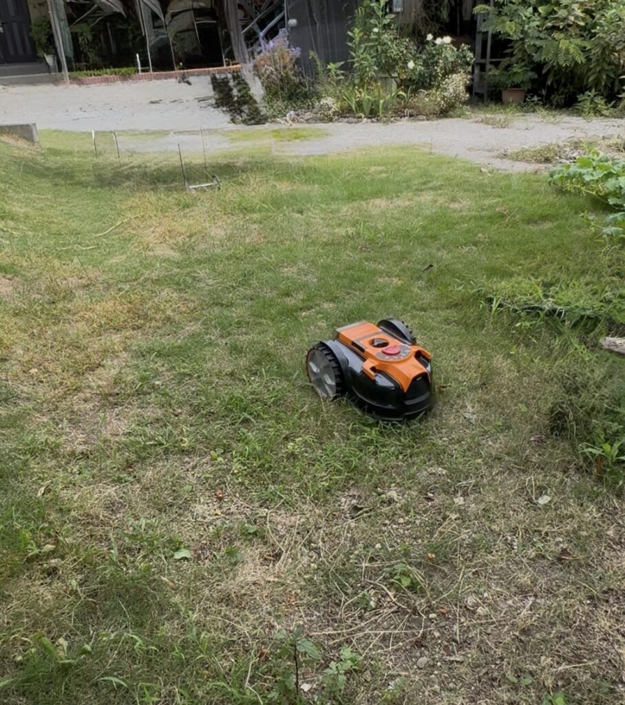 裏庭は約30㎡。雑草が混じり、斜面や砂利もある環境です。ここでLawnMaster × EMG芝刈り機を走らせてみました。